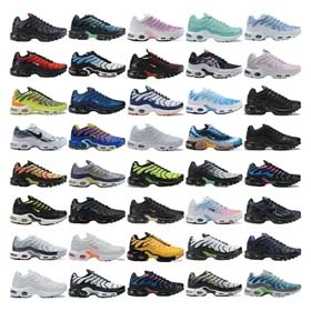 Nike Max Plus TN-0495  